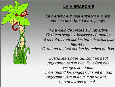 image humour hierarchie en entreprise singe