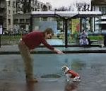 vidéo pub umbro chien ballon football