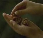 vidéo publicité pub  leo sports club une femme casse des noix entre ses fesses fermes