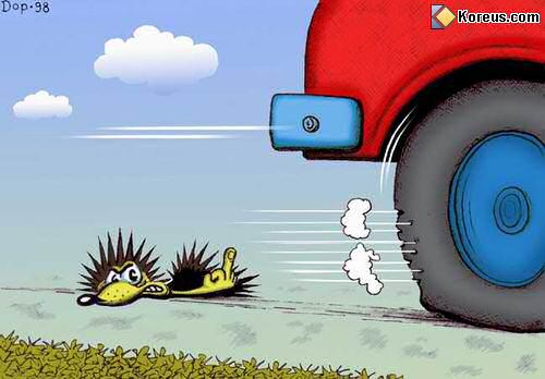 animal herisson ecrase faisant un doigt honneur