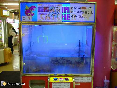 animal attrape peche crabe jeux fete foraine