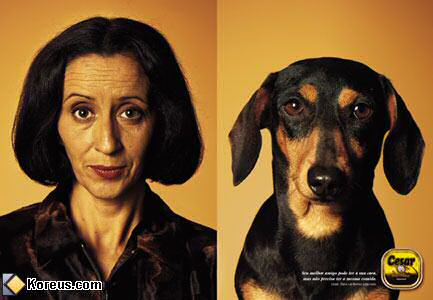 image publicite cesar tel chien tel maitre maitresse ressemble ressemblance