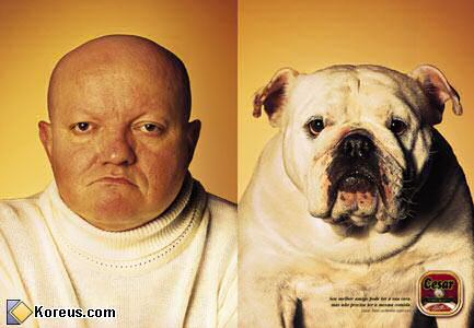 image publicite cesar tel chien tel maitre maitresse ressemble ressemblance