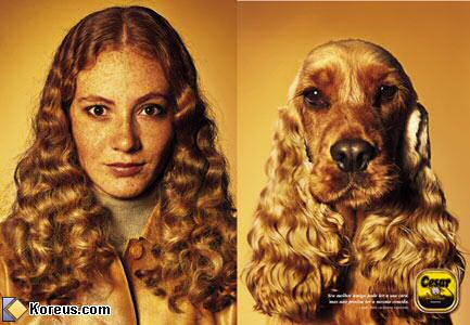 image publicite cesar tel chien tel maitre maitresse ressemble ressemblance