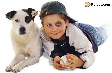 image  tel chien tel maitre maitresse ressemble ressemblance