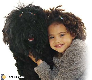 image  tel chien tel maitre maitresse ressemble ressemblance