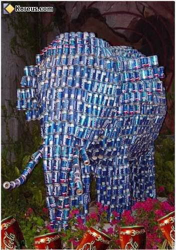 image drole nature animaux elephant canette pepsi