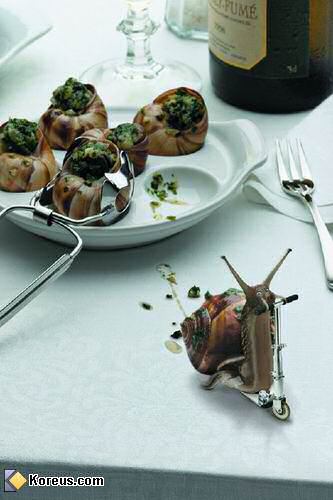 image insolite escargot echappe en trottinette