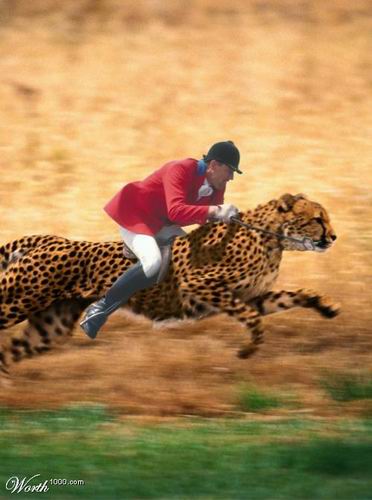 image monture insolite cavalier guepard worth1000.com