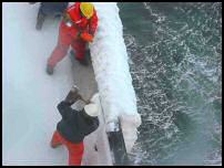 image photo cargo bateau glace humour insolite
