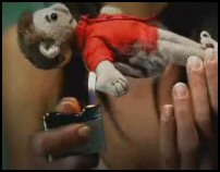 vidéo publicité télé tv bière brahma poupée voodoo pipi sur briquet