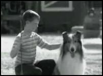 vidéo publicité télé  ge securities technologies lassie se bat contre un cougar karaté