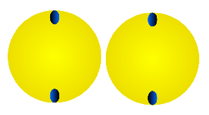 image illusion optique humour insolite