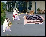 jeu flash humour insolite