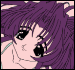 jeu flash humour insolite chosir son type de femme