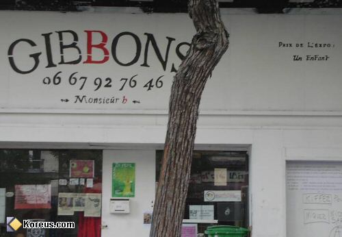 image humour insolite