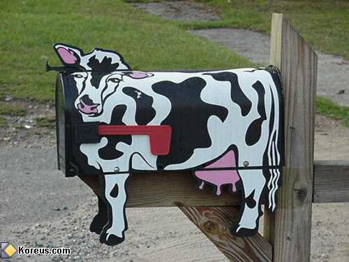 image boites aux lettres humour insolite