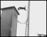 vidéo