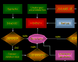 apprendre a draguer présentation power point pps organigramme