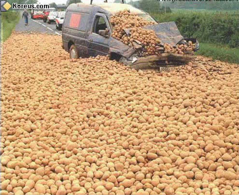 Résultat de recherche d'images pour "pomme de terre humoristique"