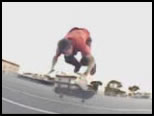 vidéo rodney mullen skateboard