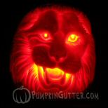 image citrouilles sculptées gallerie humour insolite