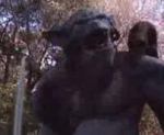 vidéo The Beast Within court métrage avec un homme magicien qui se bat contre un troll orgre monstre  des bois