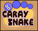 jeu flash caray snake serpent queue humour insolite