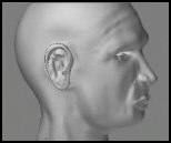 vidéo modeling tête 3d zbrush maxluere