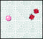 jeu flash oh my god the bugs are coming bulle rose adresse